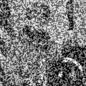 reference image astronaut0: rosta speckle over the astronaut photo