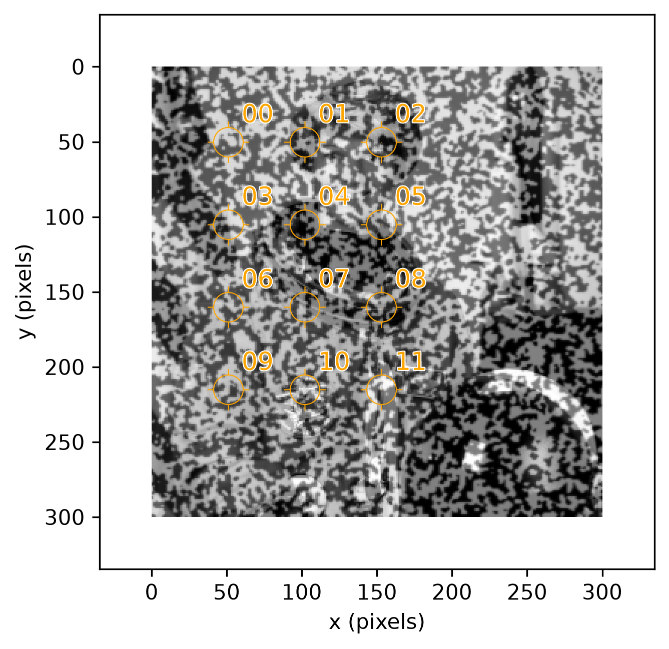 stretched current image astronaut0 with the 12 found points overlaid in orange, still labeled 00 through 11