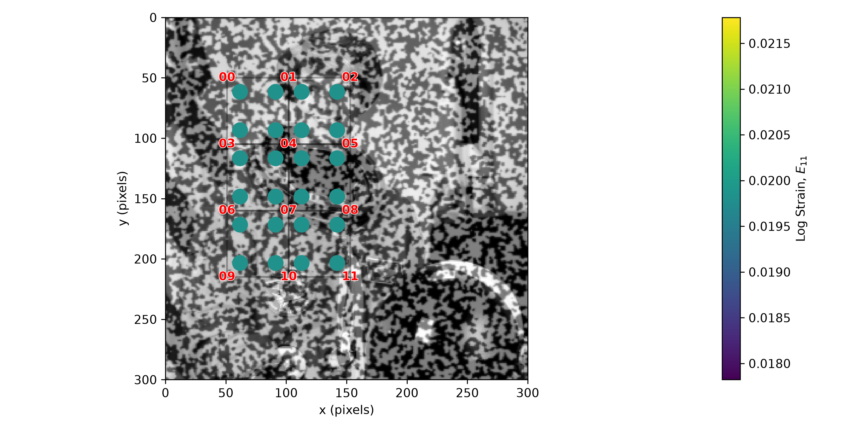 the same mesh and colored Gauss points overlaid on current_image, the stretched astronaut photo