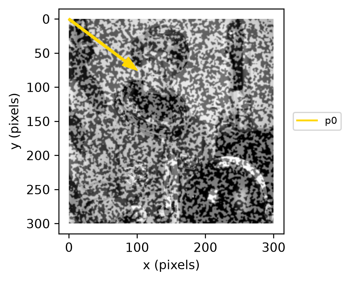 reference image with reference configuration p0 marked by a gold arrow from the origin