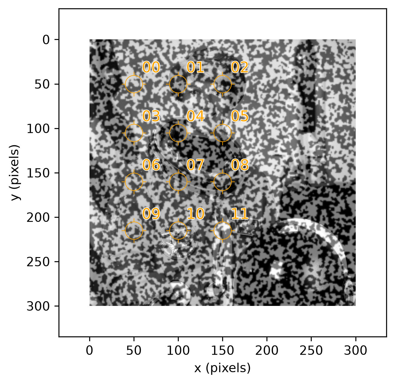 reference image astronaut0 with a 3x4 grid of 12 numbered points overlaid in orange, labeled 00 through 11 in row-major order