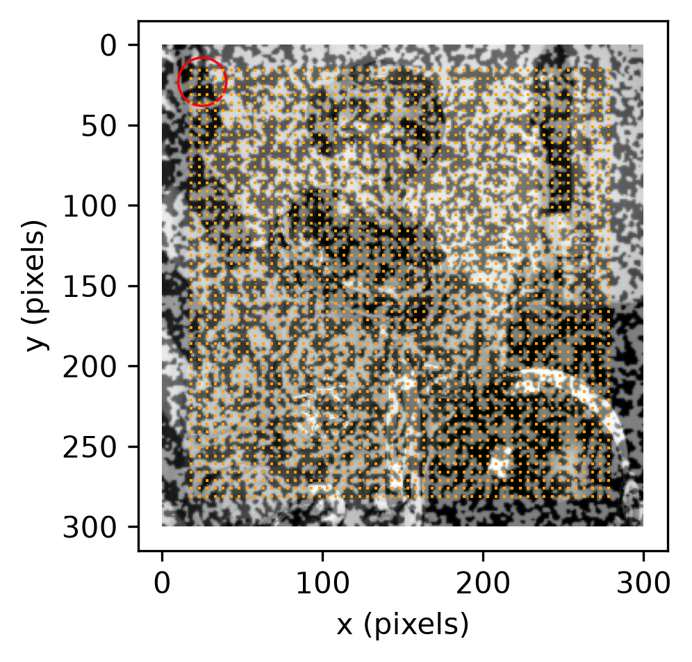 astronaut0 with 2862 orange dots overlaid in a regular 5-pixel grid across the whole image, and a red circle near the top-left corner marking the region the next figure zooms into