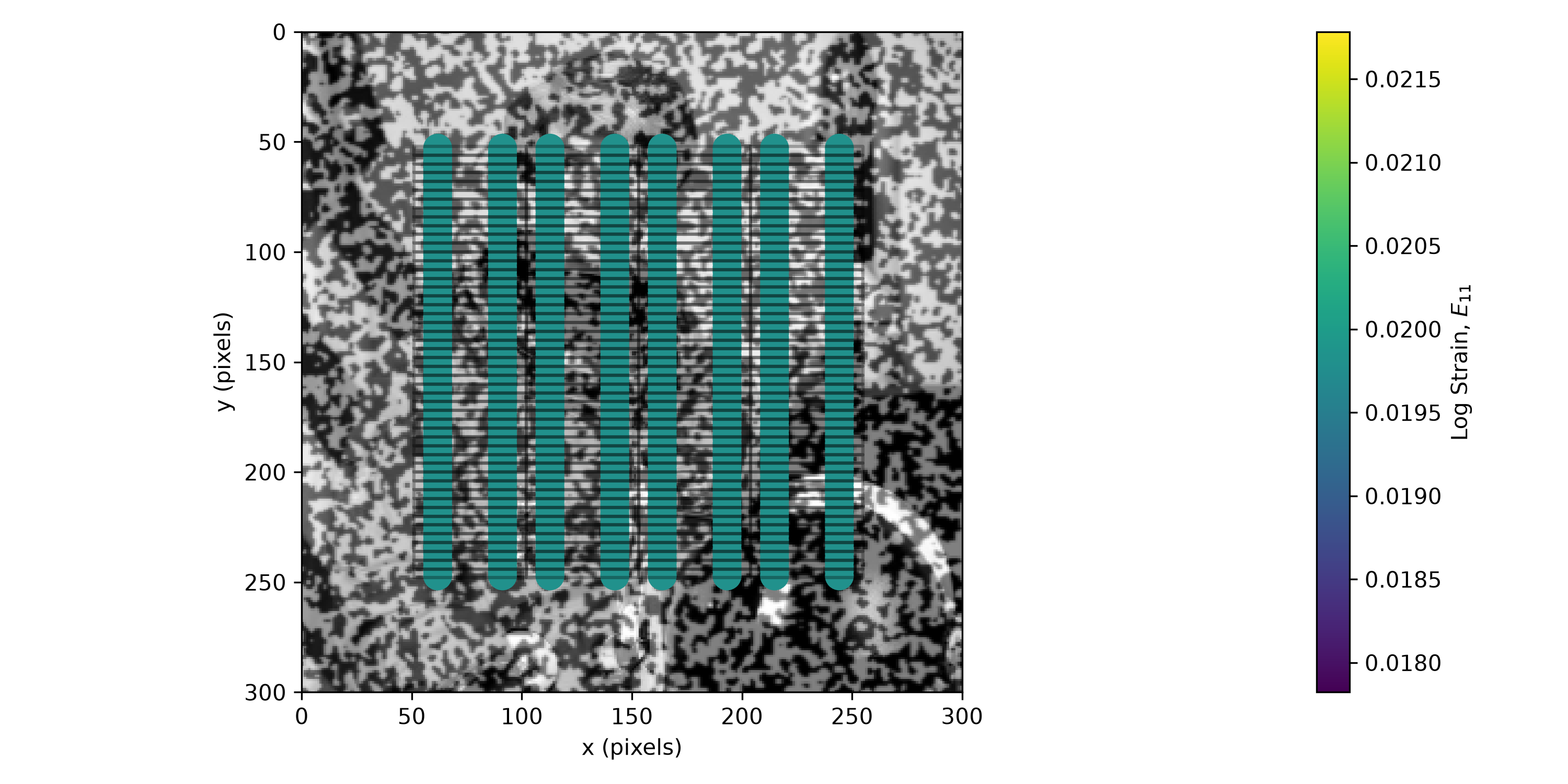 the same dense mesh and colored Gauss points overlaid on current_image, the stretched astronaut photo